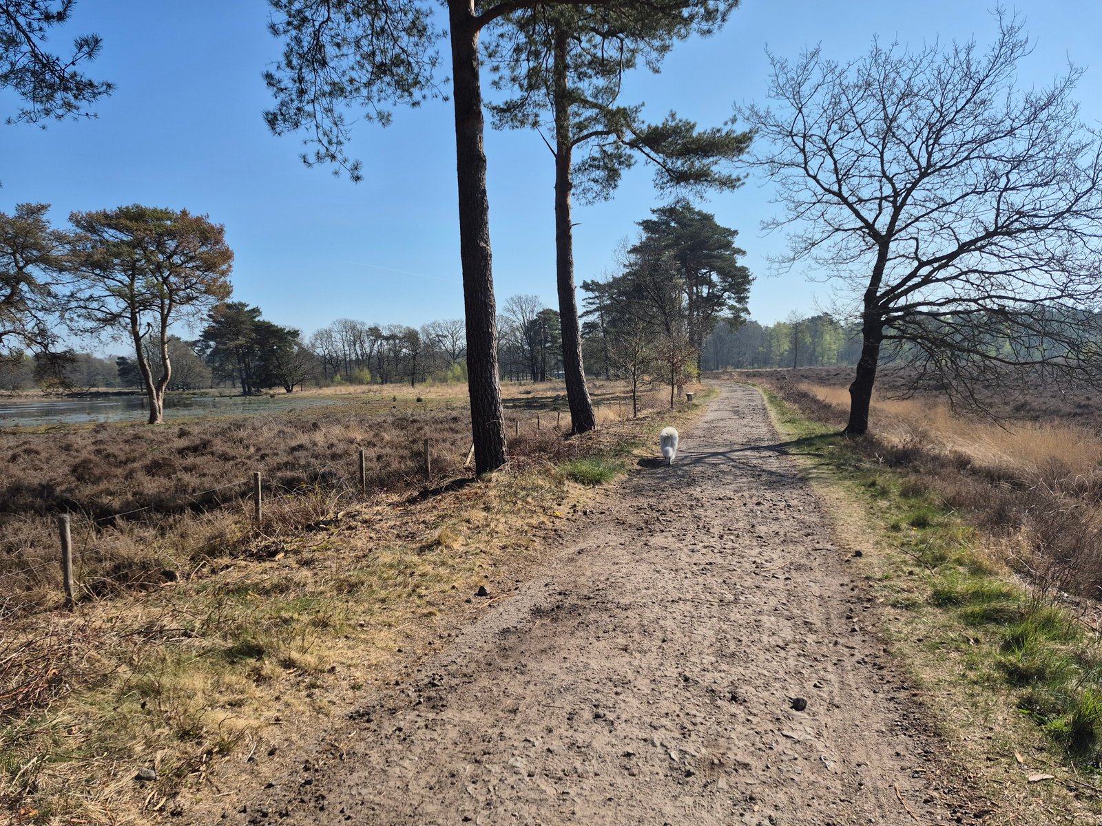 Workshop profetisch schilderen